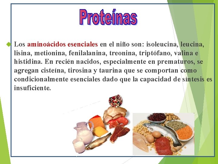  Los aminoácidos esenciales en el niño son: isoleucina, lisina, metionina, fenilalanina, treonina, triptófano,