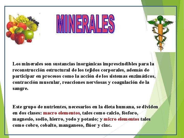 Los minerales son sustancias inorgánicas imprescindibles para la reconstrucción estructural de los tejidos corporales,