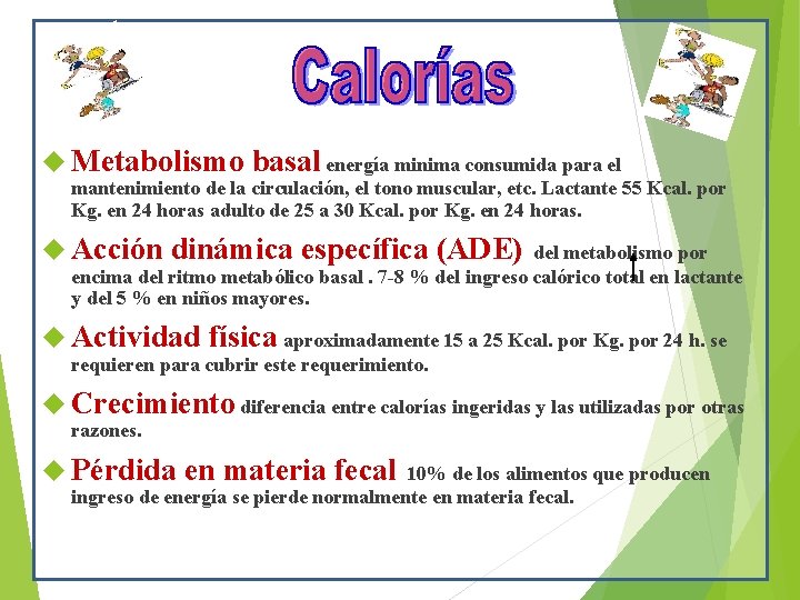  Metabolismo basal energía minima consumida para el mantenimiento de la circulación, el tono