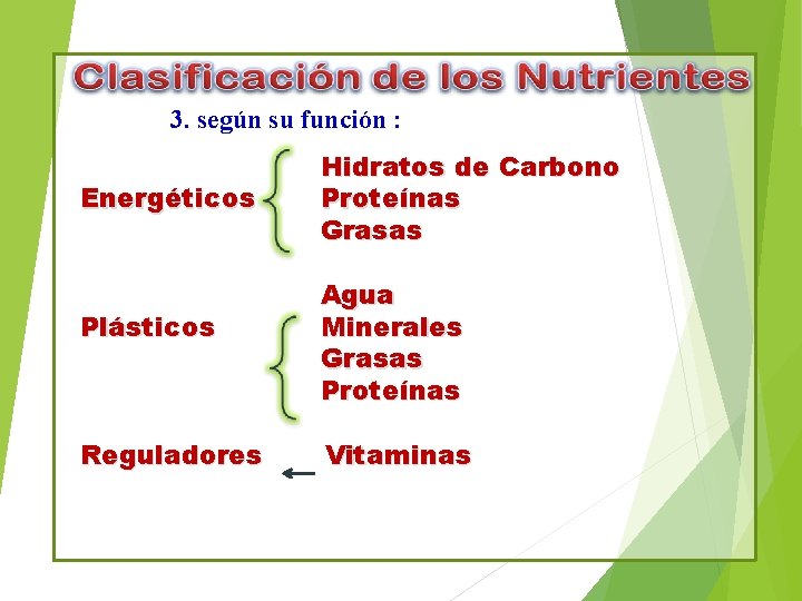 3. según su función : Energéticos Plásticos Reguladores Hidratos de Carbono Proteínas Grasas Agua