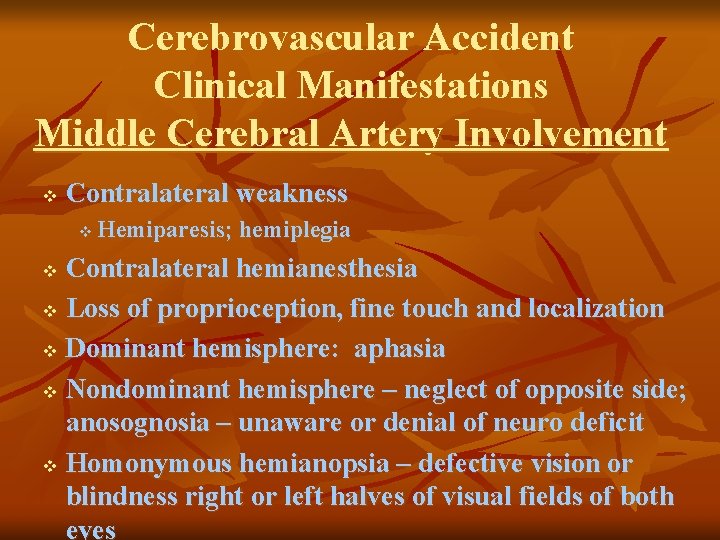 Cerebrovascular Accident Clinical Manifestations Middle Cerebral Artery Involvement v Contralateral weakness v Hemiparesis; hemiplegia