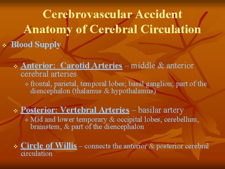 Cerebrovascular Accident Anatomy of Cerebral Circulation v Blood Supply v Anterior: Carotid Arteries –