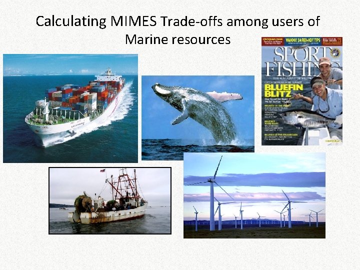 Calculating MIMES Trade-offs among users of Marine resources 