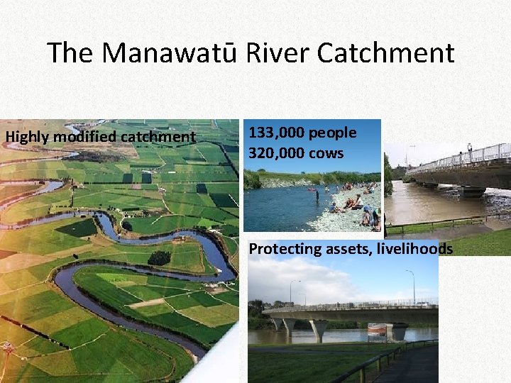 The Manawatū River Catchment Highly modified catchment 133, 000 people 320, 000 cows Protecting