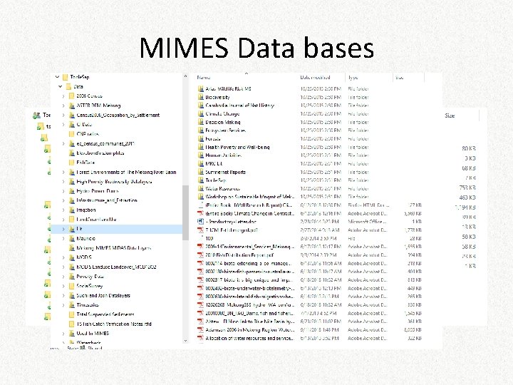MIMES Data bases 