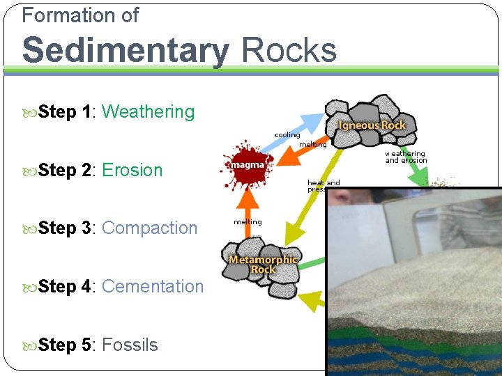 Formation of Sedimentary Rocks Step 1: Weathering Step 2: Erosion Step 3: Compaction Step