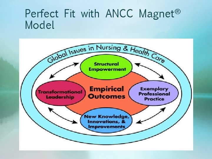 Perfect Fit with ANCC Magnet® Model 