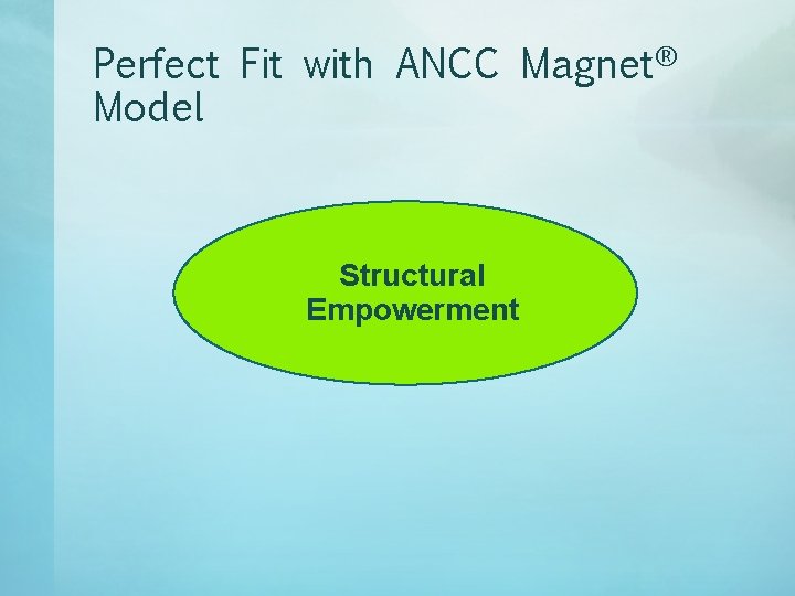 Perfect Fit with ANCC Magnet® Model Structural Empowerment 