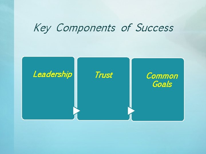 Key Components of Success Leadership Trust Common Goals 