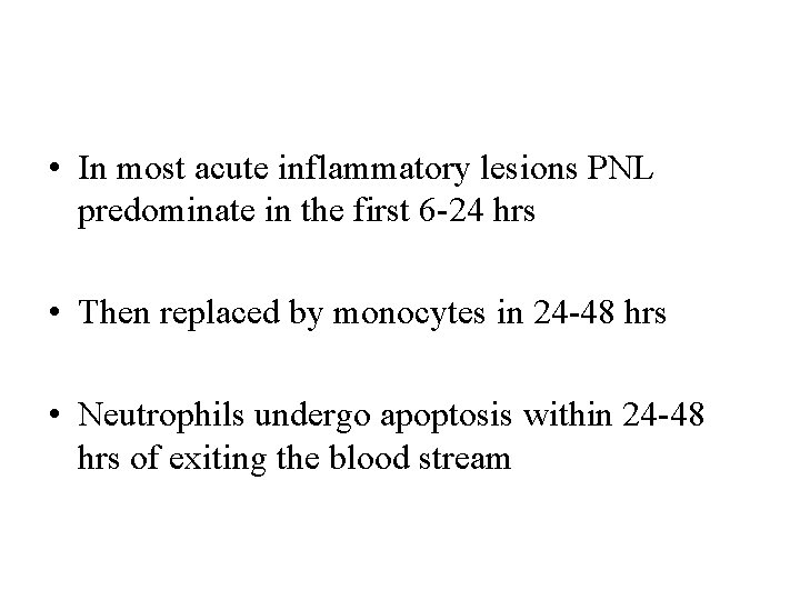  • In most acute inflammatory lesions PNL predominate in the first 6 -24