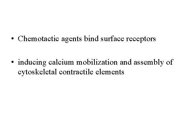  • Chemotactic agents bind surface receptors • inducing calcium mobilization and assembly of