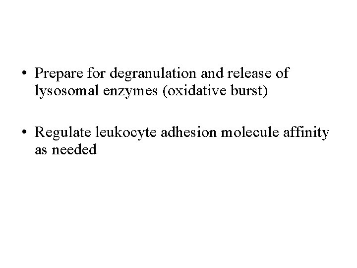  • Prepare for degranulation and release of lysosomal enzymes (oxidative burst) • Regulate