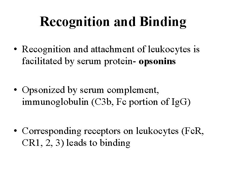 Recognition and Binding • Recognition and attachment of leukocytes is facilitated by serum protein-