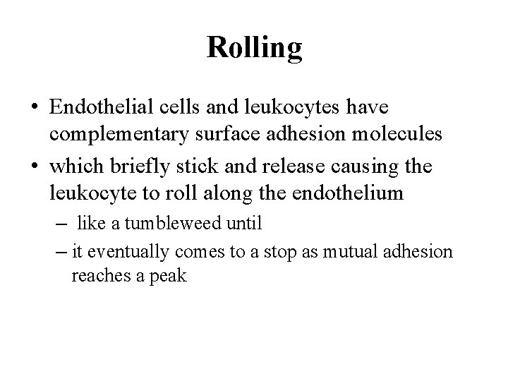Rolling • Endothelial cells and leukocytes have complementary surface adhesion molecules • which briefly