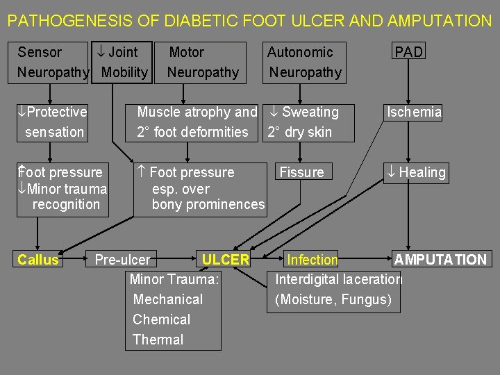 PATHOGENESIS OF DIABETIC FOOT ULCER AND AMPUTATION Sensor Joint Neuropathy Mobility Motor Neuropathy Autonomic