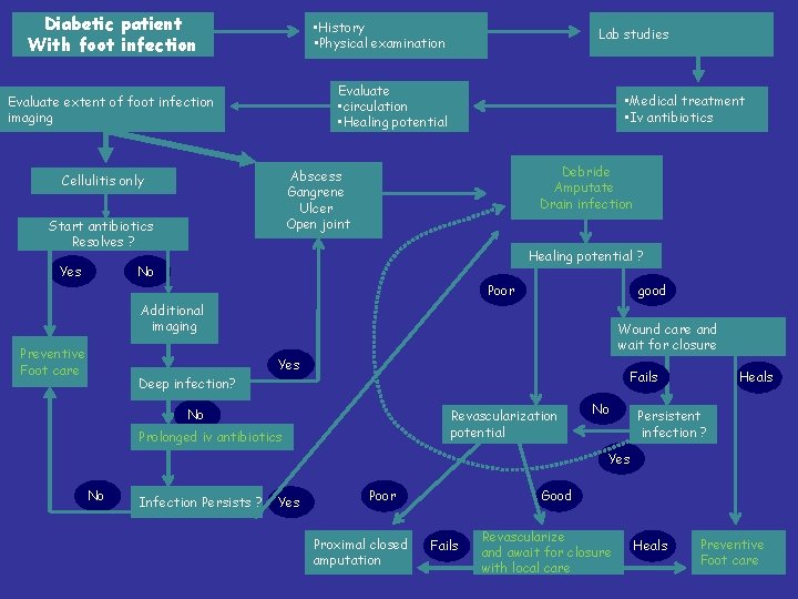 Diabetic patient With foot infection • History • Physical examination Evaluate • circulation •