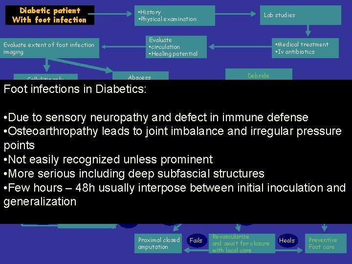 Diabetic patient With foot infection • History • Physical examination Evaluate • circulation •