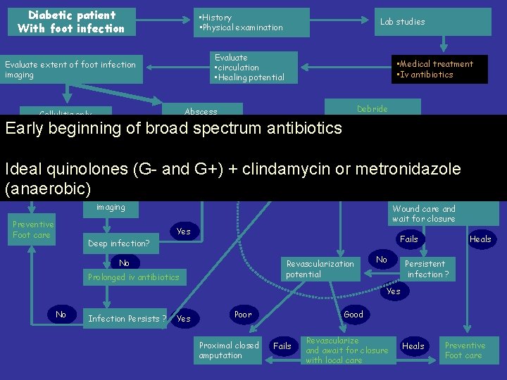 Diabetic patient With foot infection • History • Physical examination Lab studies Evaluate •