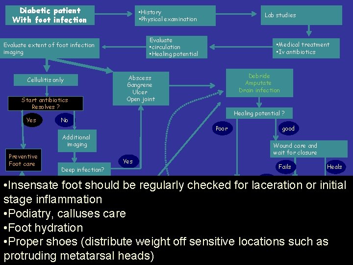 Diabetic patient With foot infection • History • Physical examination Evaluate • circulation •