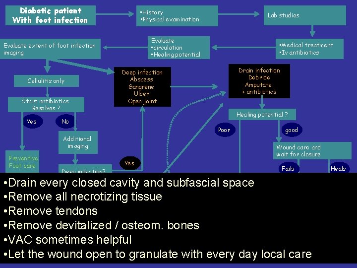 Diabetic patient With foot infection • History • Physical examination Evaluate • circulation •