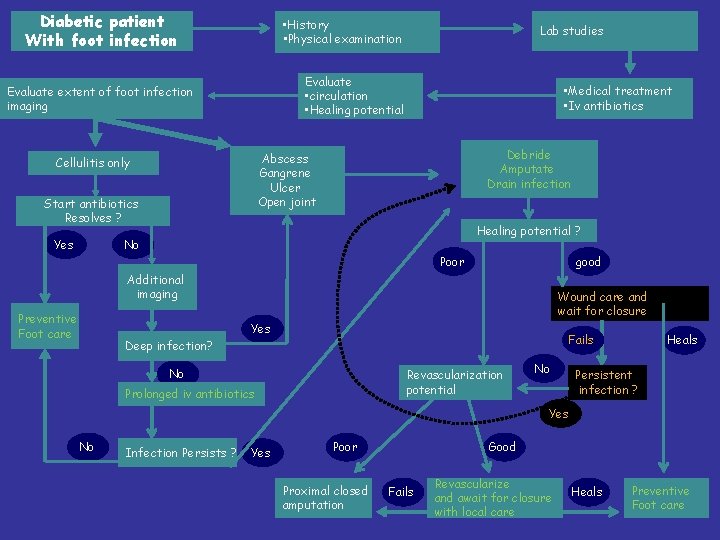 Diabetic patient With foot infection • History • Physical examination Evaluate • circulation •