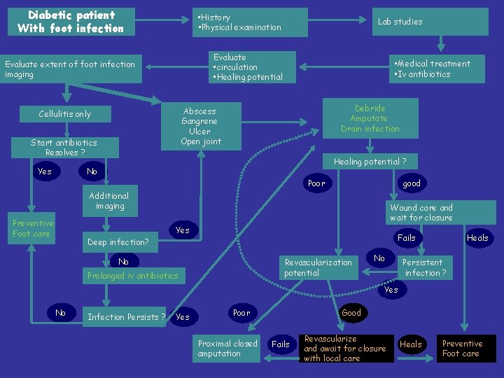 Diabetic patient With foot infection • History • Physical examination Evaluate • circulation •