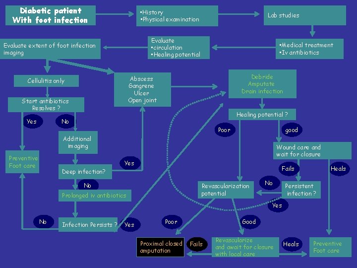 Diabetic patient With foot infection • History • Physical examination Evaluate • circulation •
