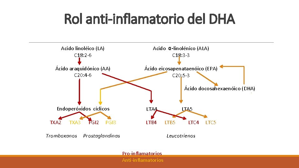 Rol anti-inflamatorio del DHA Acido linoléico (LA) C 18: 2 -6 Acido α-linolénico (ALA)