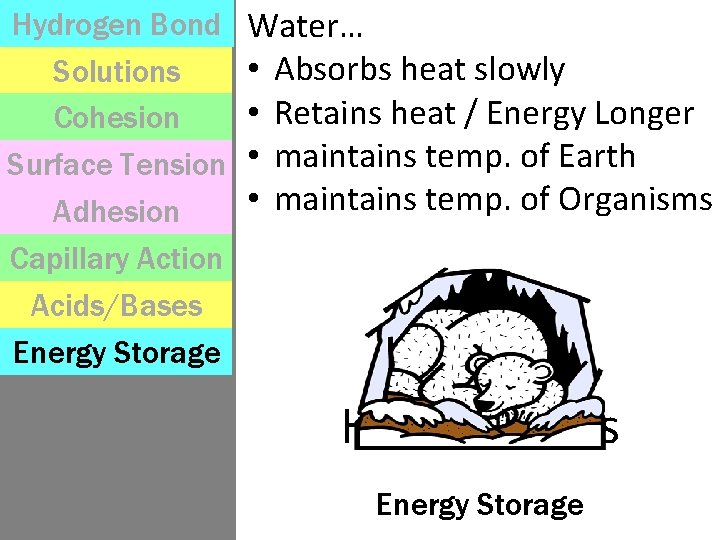 Hydrogen Bond Solutions Cohesion Surface Tension Adhesion Capillary Action Acids/Bases Energy Storage Water… •