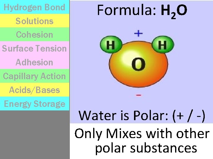 Hydrogen Bond Solutions Cohesion Surface Tension Adhesion Capillary
