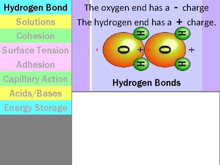 Hydrogen Bond The oxygen end has a - charge Solutions The hydrogen end has