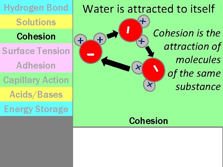 Hydrogen Bond Solutions Cohesion Surface Tension Adhesion Capillary