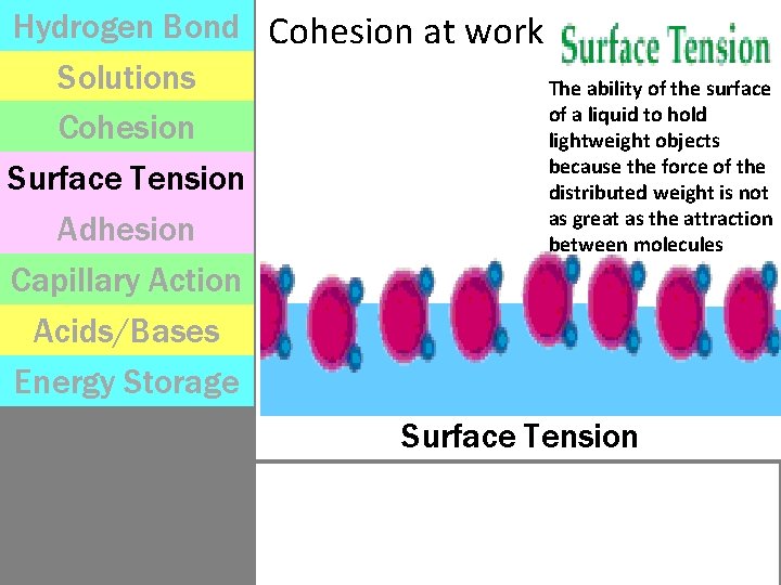 Hydrogen Bond Cohesion at work Solutions The ability of the surface of a liquid