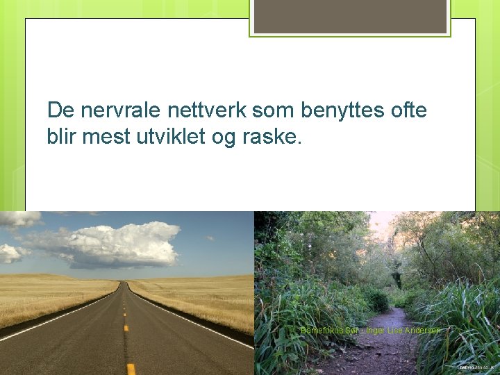 De nervrale nettverk som benyttes ofte blir mest utviklet og raske. Barnefokus Sør -