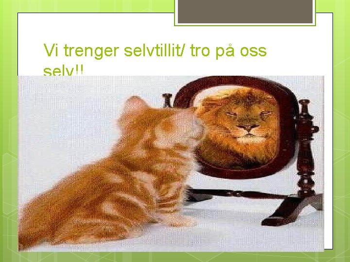 Vi trenger selvtillit/ tro på oss selv!! 