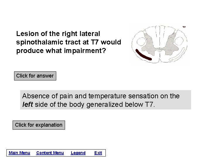 Lesion of the right lateral spinothalamic tract at T 7 would produce what impairment?