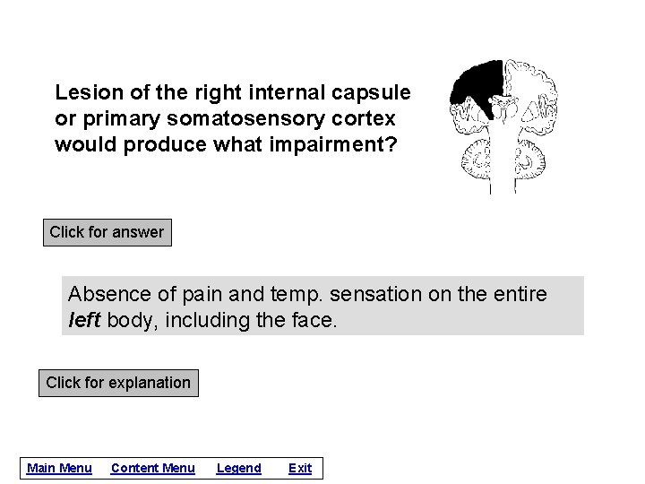 Lesion of the right internal capsule or primary somatosensory cortex would produce what impairment?