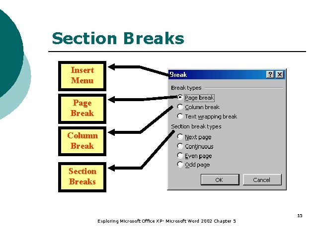 Section Breaks Insert Menu Page Break Column Break Section Breaks Exploring Microsoft Office XP-