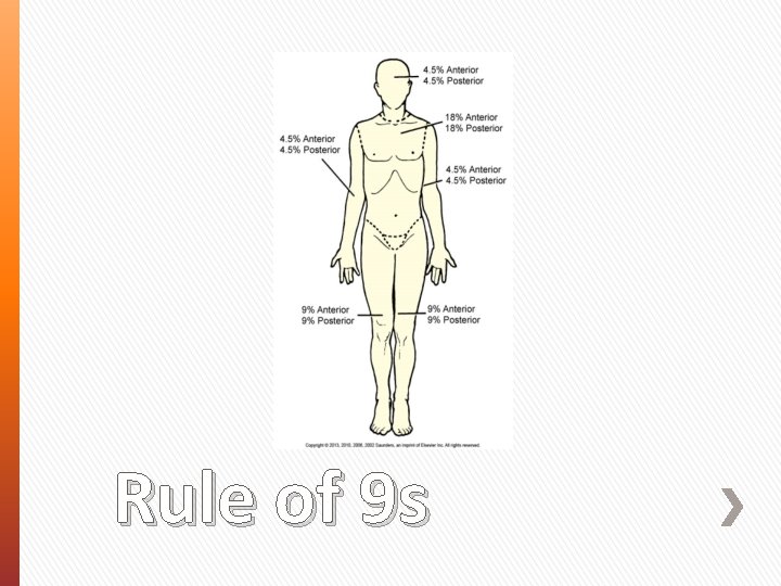 Rule of 9 s 