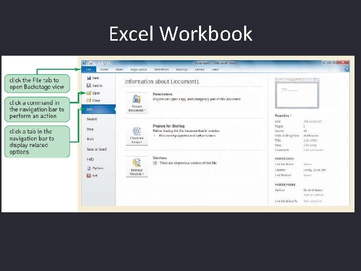 Excel Workbook 