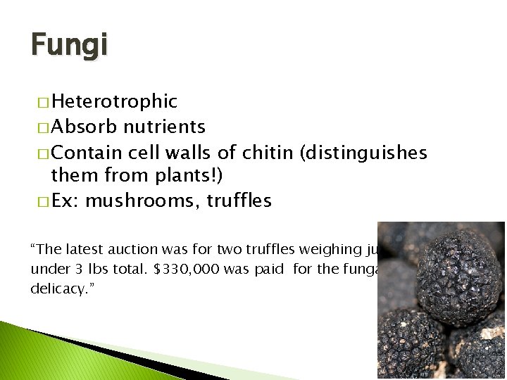 Fungi � Heterotrophic � Absorb nutrients � Contain cell walls of chitin (distinguishes them