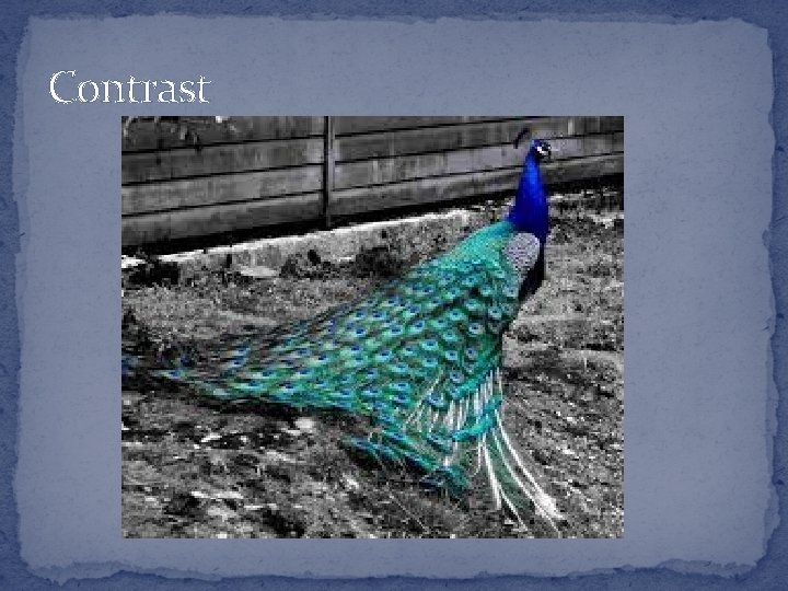 Contrast  Contrast