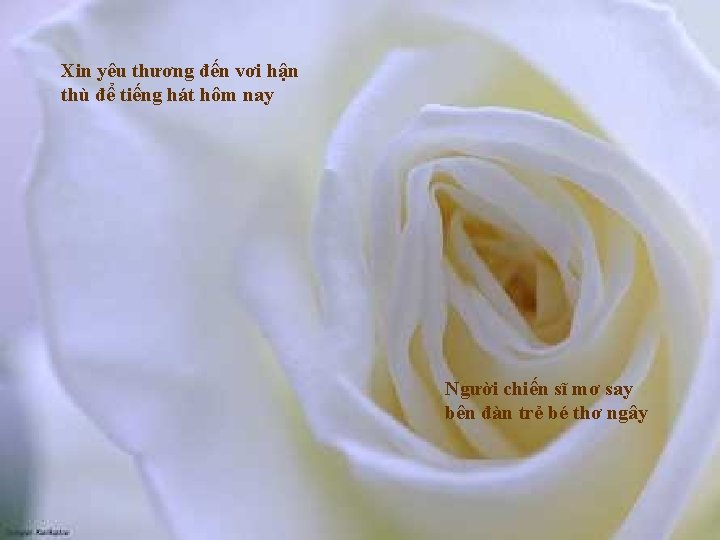 Xin yêu thương đến vơi hận thù để tiếng hát hôm nay Người chiến