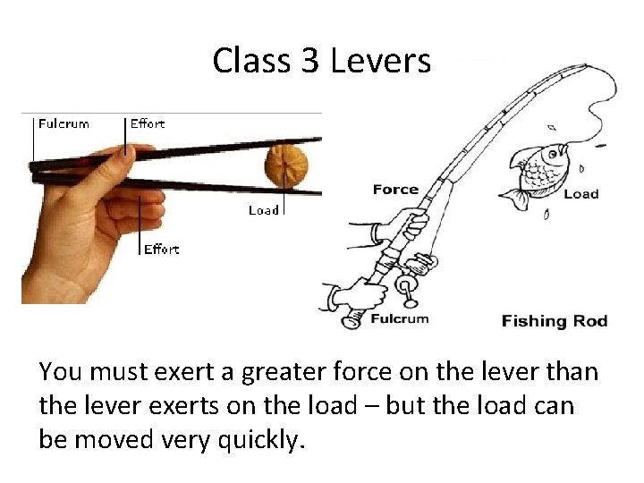Class 3 Levers You must exert a greater force on the lever than the