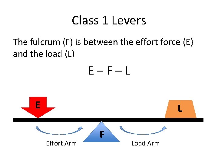 Class 1 Levers The fulcrum (F) is between the effort force (E) and the