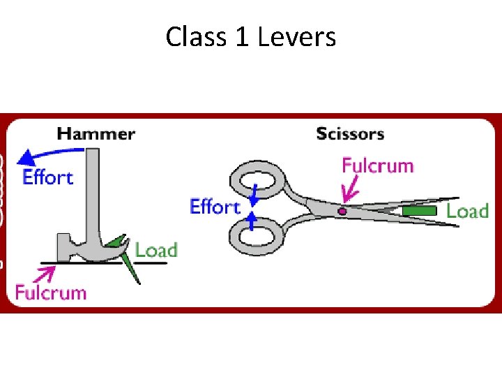 Class 1 Levers 
