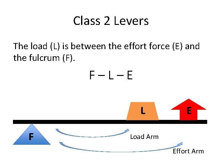 Class 2 Levers The load (L) is between the effort force (E) and the