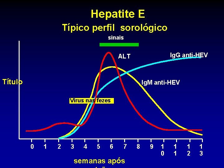 Hepatite E Típico perfil sorológico sinais Ig. G anti-HEV ALT Título Ig. M anti-HEV