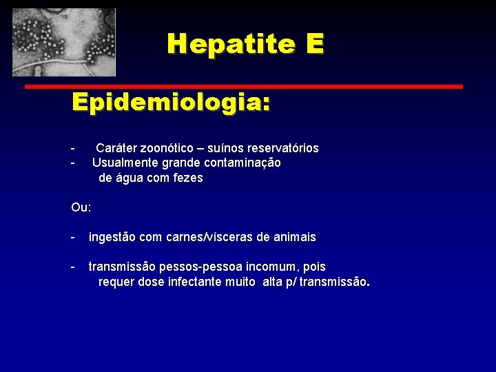 Hepatite E Epidemiologia: - Caráter zoonótico – suínos reservatórios Usualmente grande contaminação de água