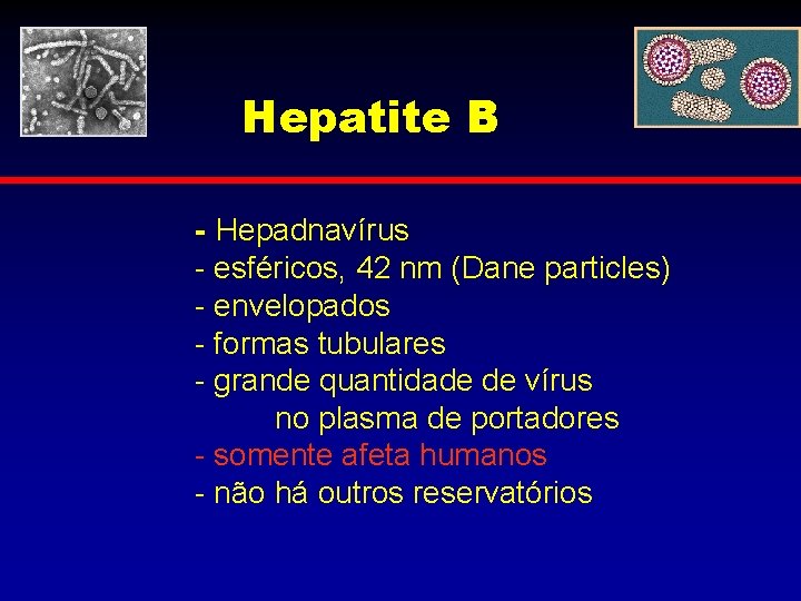 Hepatite B - Hepadnavírus - esféricos, 42 nm (Dane particles) - envelopados - formas